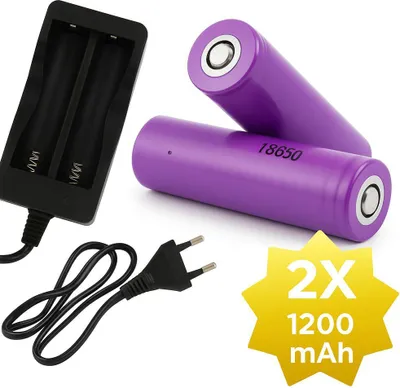 A battery charger with two rechargeable batteries and a power cord, set against a white background.