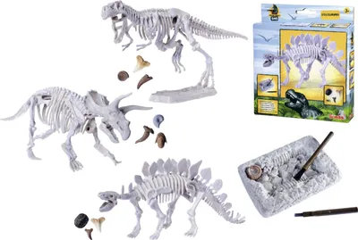 Produktbild von Dinosaurier-Ausgrabungsset, 3 Typen