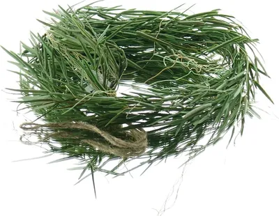 Produktbild von GASPER Pflanzenranke Hoya linearis Grün - Kunstpflanzen