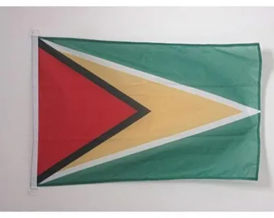 Bootvlag Guyana 150x90 cm, Polyester, wetterfest