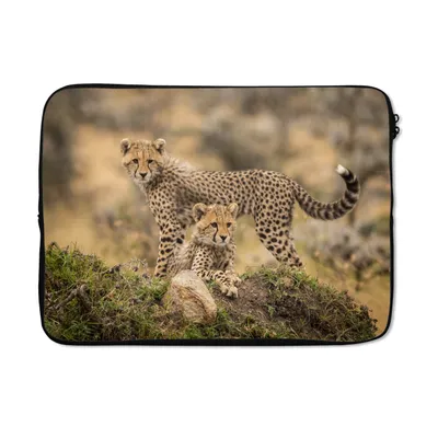 Produktbild von MuchoWow® Laptop Hülle 14 ZollLeopard - Jungtier - Natur Laptoptasche - Laptoptasche - Stoßsicher - Schutzhaube