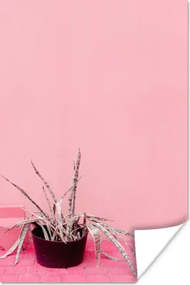 Produktbild von MuchoWow® Poster Sommer - Rosa - Pflanzen 120x180 cm - Kunstposter