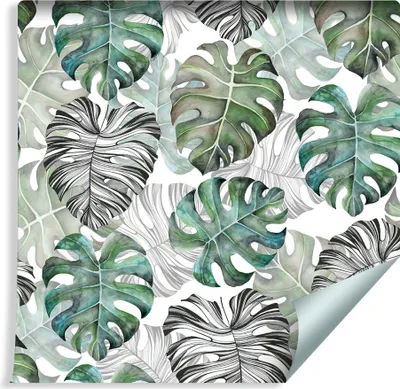 Produktbild von 10m VLIES TAPETE Rolle Grüne Monstera Blätter NATUR XXL