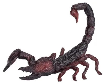 Produktbild von Animal Planet Kaiserskorpion