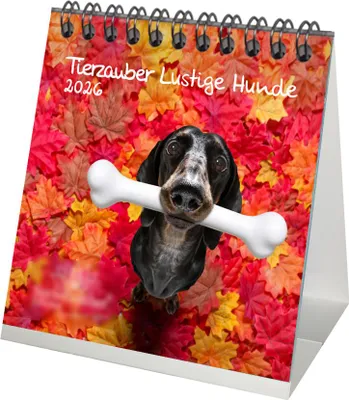 Produktbild von Tierzauber Lustige Hunde Tischkalender 10cm x 10cm für 2026 Welpen und Hunde - Set-Inhalt: 1x Kalender 1x Weihnachtsanhänger 1x Grußanhänger (gesamt 3 Teile)