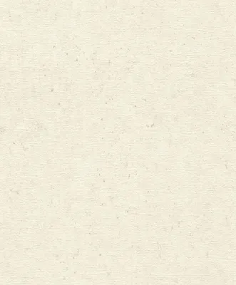 Produktbild von Rasch Vliestapete 520835 Concrete, Putzoptik beige, 10,05 x 0,53 m