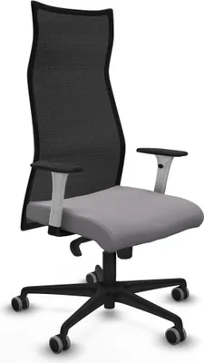 Immagine prodotto di Bürostuhl Piqueras y Crespo B1B036G Grau