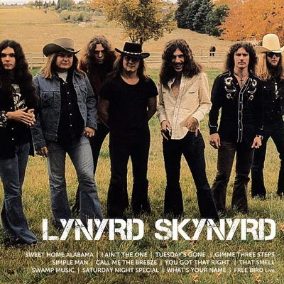 Obrázok produktu pre Lynyrd Skynyrd: Icon - - (CD / I)