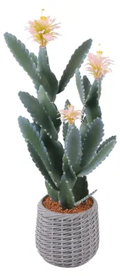 Produktbild von Künstlicher Kaktus/Sukkulente - Bodenpflanze im Topf - Höhe 91 cm - Realistisch - Für den Innenbereich - Kunststoff - Grün