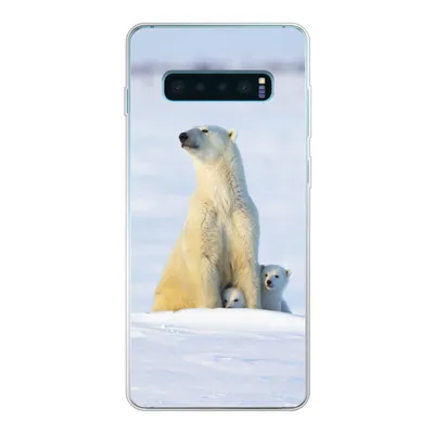 Produktbild von MuchoWow® Handyhülle Schutzhülle Hülle für Samsung Galaxy S10 Lite Eisbär - Schnee - Jungtiere Silikon Softcase Handy Hülle - Schutz