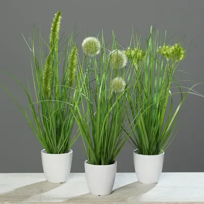 Produktbild von Kunstpflanze Kunstpflanze Gras im weißen Topf 3 Stück H38cm Grün Kunstgras