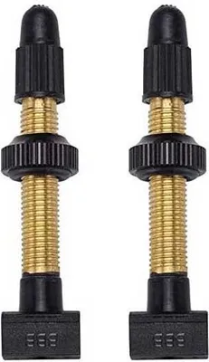 Image de BBB Cycling - Valves tubeless BBB à tige amovible 80 mm - fiabilité...