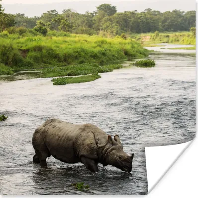 Produktbild von MuchoWow® Poster Nashorn im Wasser 75x75 cm - Wand Dekoration
