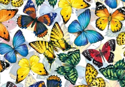 Produktbild von 3 D Ansichtskarte Schmetterlinge, Postkarte Wackelkarte Hologrammkarte Tiere Tier Falter