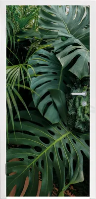 Produktbild von MuchoWow® Türtapete Selbstklebende Türfolie Pflanzen - Dschungel - Blätter - Tropisch 85x215 cm Türposter Türaufkleber Klebefolie Türklebefolie - Aufkleber für türen - Türplakat - Dekoration