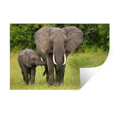 Productafbeelding van Wandsticker - Olifantmoeder met haar jong. - 90x60 cm - Herpositioneerbaar