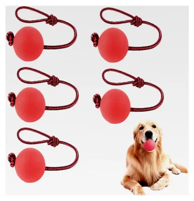 Produktbild von 5er Set Hundebälle mit Schnur, Wurfball für Hunde, interaktives Hundespielzeug mit strapazierfähigen, elastischen Bällen