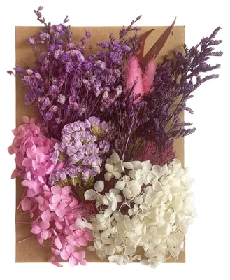 Trockenblumen-Set, 6 Tüten, mehrfarbig, für DIY-Deko