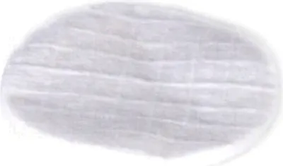 Produktbild von JBC Vorfilter, für DR 5600 und DR 5650 0781046 (DR5570) (Pack à 10 Stück)