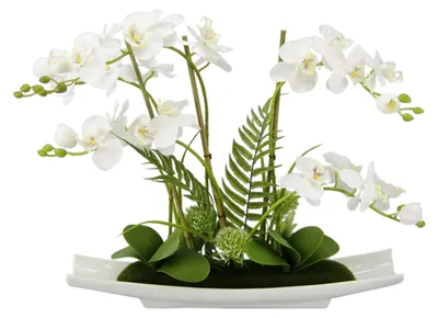 Zdjęcie produktu dla Sztuczna orchidea Phalaenopsis, wysokość 50 cm, w ceramicznej doniczce