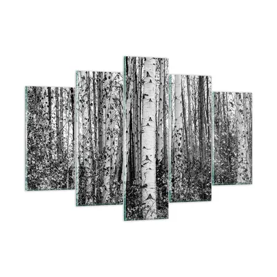 Produktbild von Bilder auf glas - 5 Teile - Birken Wald Monochrom - 150x100cm - Glasbilder - Wandbilder - Bilder - zum Aufhängen bereit - Wanddekoration aus Glas - Glas Bilder - Wandbild auf Glas - GEA150x100-4643