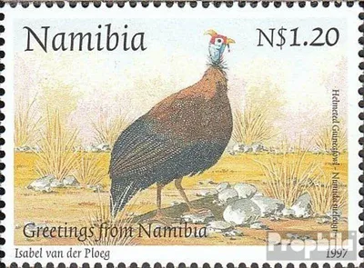 Produktbild von Briefmarken Namibia - Südwestafrika 1997 Mi 836 postfrisch Helmperlhuhn