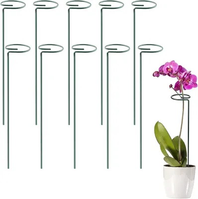 Produktbild von Pflanzenstab Einzelstiel, 1 Stück, 50 cm, für Gartenpflanzen