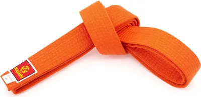 Produktbild von Budogürtel orange 280