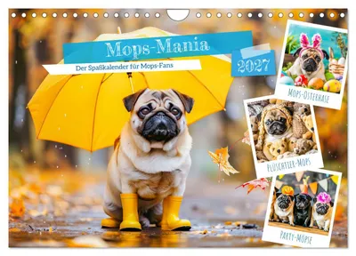 Produktbild von Mops-Mania - Der Spaßkalender für Mops-Fans (Wandkalender 2027 DIN A4 quer), CALVENDO Monatskalender
