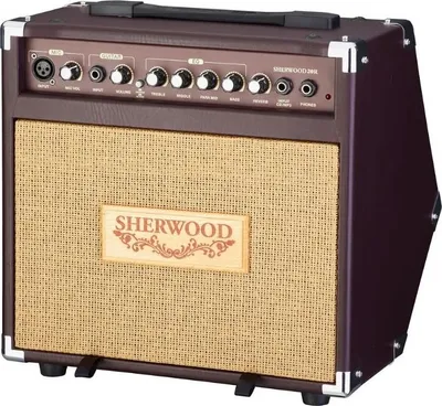 Zdjęcie produktu dla Carlsbro Sherwood 20 Combo do gitar elektroakustycznych