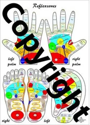 Produktbild von Reflexology Chart