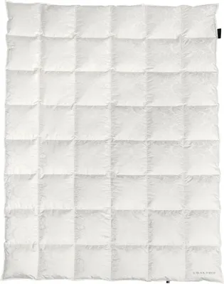 Produktbild von OBB Black Forest Ganzjahresdecke Lara 200x200 cm, Schneegansdaunen-Kassettendecke