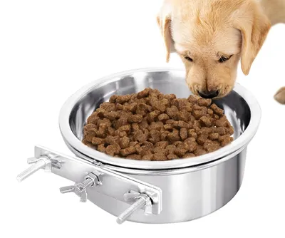 Imagen del producto de Comedero de acero inoxidable para perros