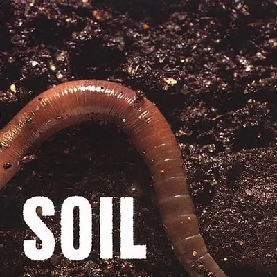Productafbeelding van SOiL - Soil [CD] 2001 [EP]