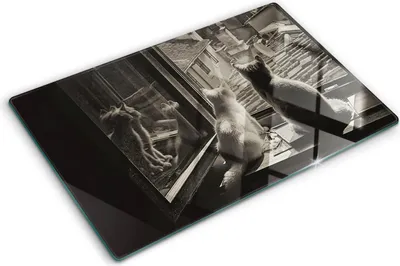 Obrázek produktu pro Kryt varné desky – Kryt na indukční desku – Ochranná skleněná deska – 80x52 cm– Skleněné ochranné desky na sporák –Tvrzené sklo –Kočky v okně