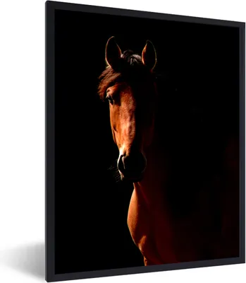 Produktbild von MuchoWow® MuchoWow® Gerahmtes Poster Pferd - Licht - Porträt 30x40 cm - Poster mit zchwarzem Bilderrahmen - Wanddeko - Kunstdrucke