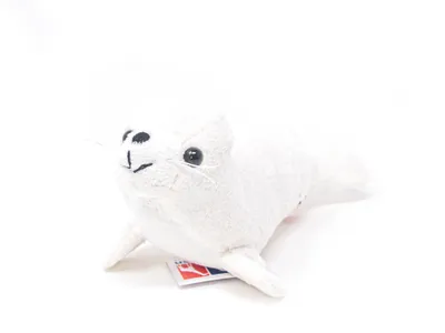 Image de Cornelissen - Doudou - phoque blanc - 17 cm