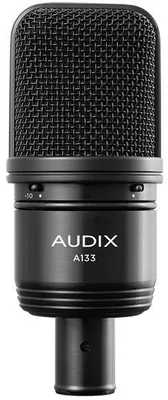 Image de Audix A133