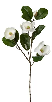 Produktbild von Kunstblume MAGNOLIE 74cm. Mit 3 Magnolienblüten und Knospen. WEISS
