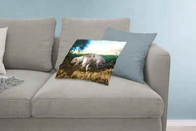 Produktbild von MuchoWow® Zierkissen Sofakissen Wohnzimmer Dekokissen 60x40 cm Schweine - Tiere - Landschaft - Kopfkissen - Polster mit Foto