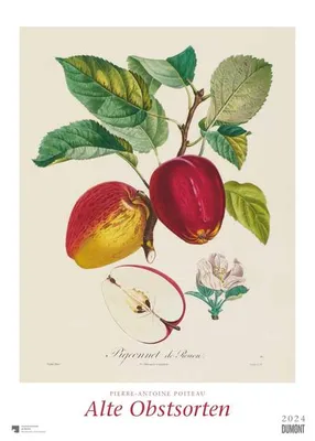 Produktbild von DUMONT Wandkalender 2024 'Alte Obstsorten' – Großformat 50 x 70 cm mit Spiralbindung