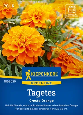 Produktbild von Kiepenkerl Tagetessamen Cresto Orange Tagetes patula 50 Pflanzen