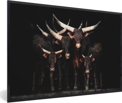 Produktbild von MuchoWow® MuchoWow® Gerahmtes Poster Kuh - Watussi - Schwarz - Hörner 30x20 cm - Poster mit zchwarzem Bilderrahmen - Kunstdruck - Bild-Poster