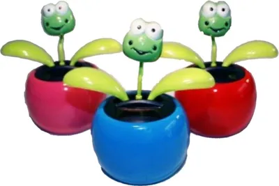 Produktbild von HAAC 2er Set Solar Wackelblume Blume Motiv Frosch