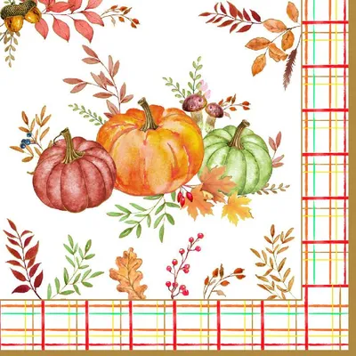 Produktbild von 20 Servietten Harvest - Kürbisse an Herbstbordüre 33x33cm