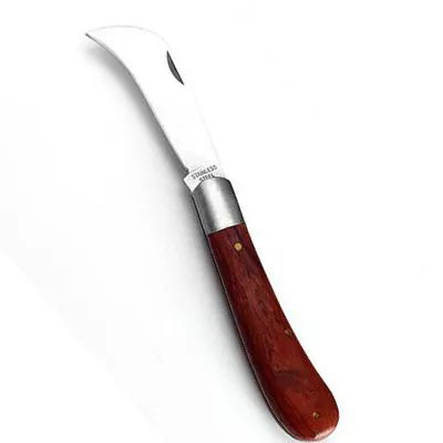 Produktbild von Pilzmesser Klappmesser mit Rosenholzgriff, leicht & kompakt, Klingenlänge 6,5 cm