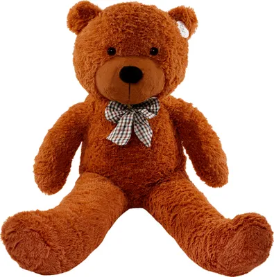 A large teddy bear sitting on a white background.