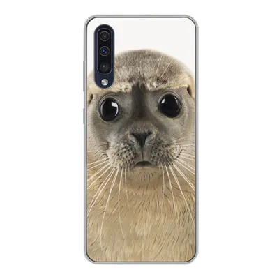 Produktbild von MuchoWow® Handyhülle Schutzhülle Hülle für Samsung Galaxy A30s Jungen - Robbe - Kinder - Mädchen - Tiere Silikon Softcase Handy Hülle - Karteninhaber