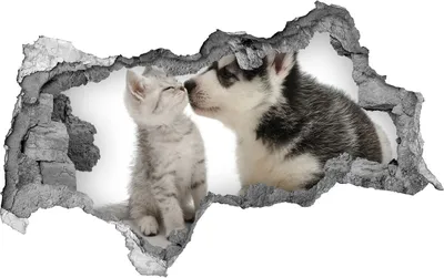 Produktbild von Selbstklebender Loch-3D-Aufkleber 95x73 cm Hund und Katze
