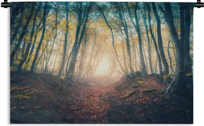 Produktbild von MuchoWow® Wandteppich Wandbehang Wald - Nebel - Sonne - Herbst 90x60 cm Tapisserie Dekoration Wandtuch - Wandskulpturen - Bildteppich